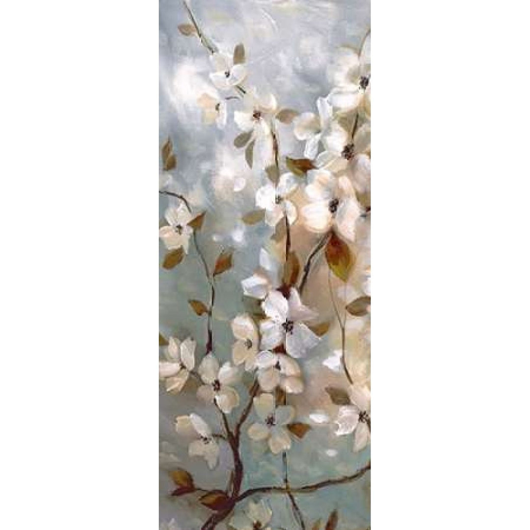 Blossoms of Spring I Poster Print by Nan-VARPDX16708 Image 1