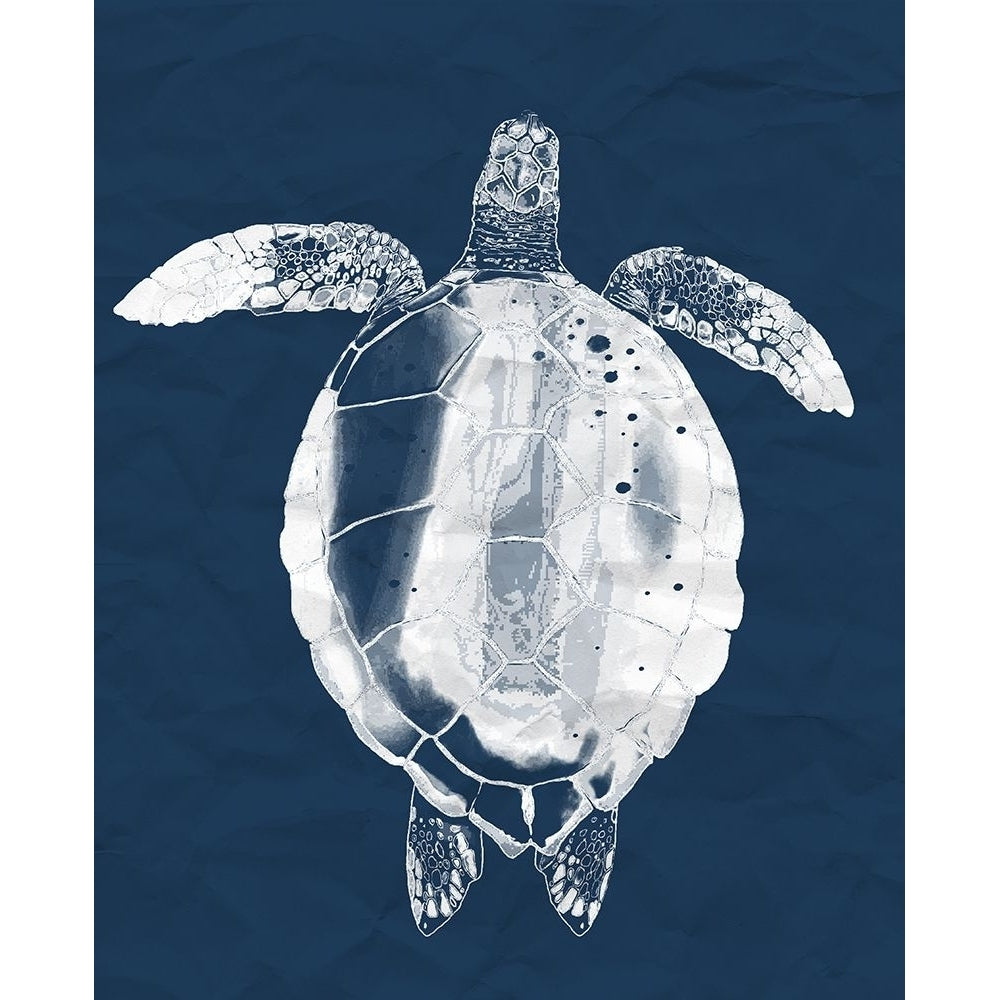 Sea Turtle On Navy Poster Print - Lucca Sheppard-VARPDX16730G Image 1