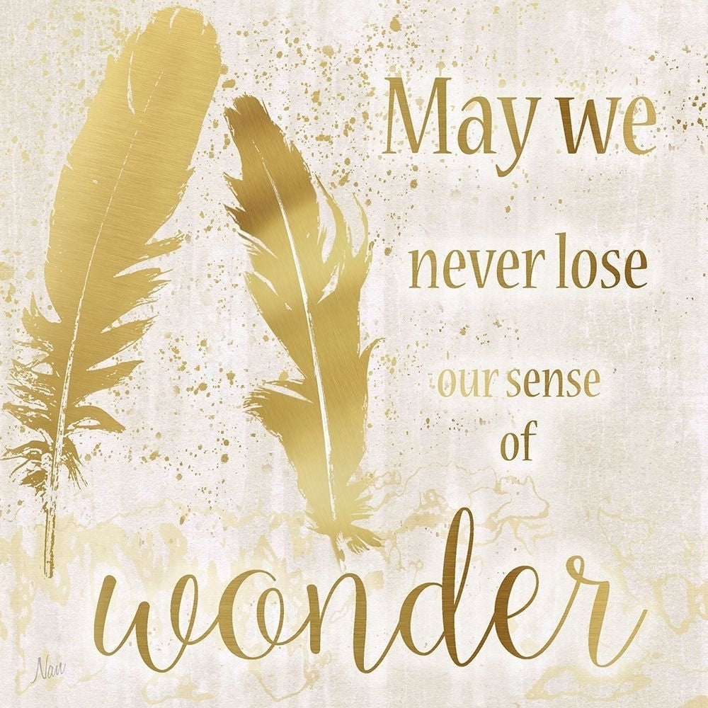 Feathers Wonder Poster Print by Nan Nan-VARPDX16732 Image 1