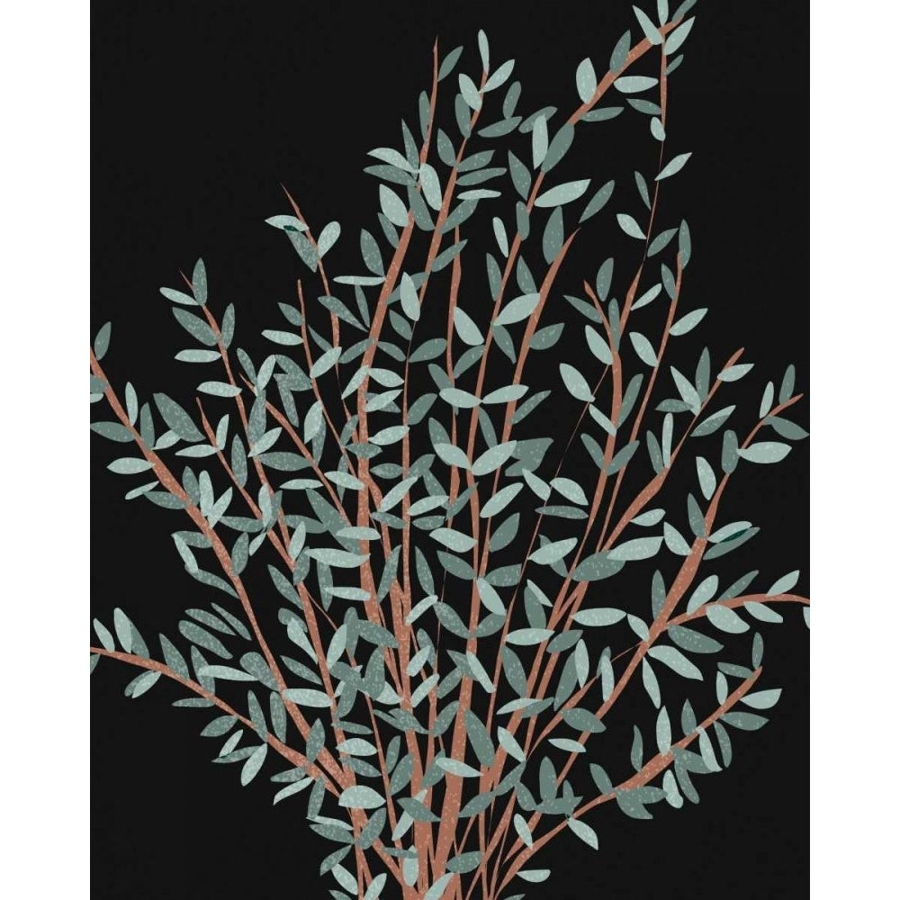 Gunni Eucalyptus I Poster Print - Melissa Wang-VARPDX167574Z Image 1