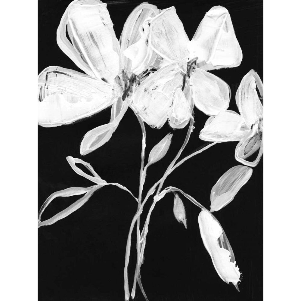 White Whimsical Flowers I Poster Print - Jennifer Goldberger-VARPDX167616FN Image 1