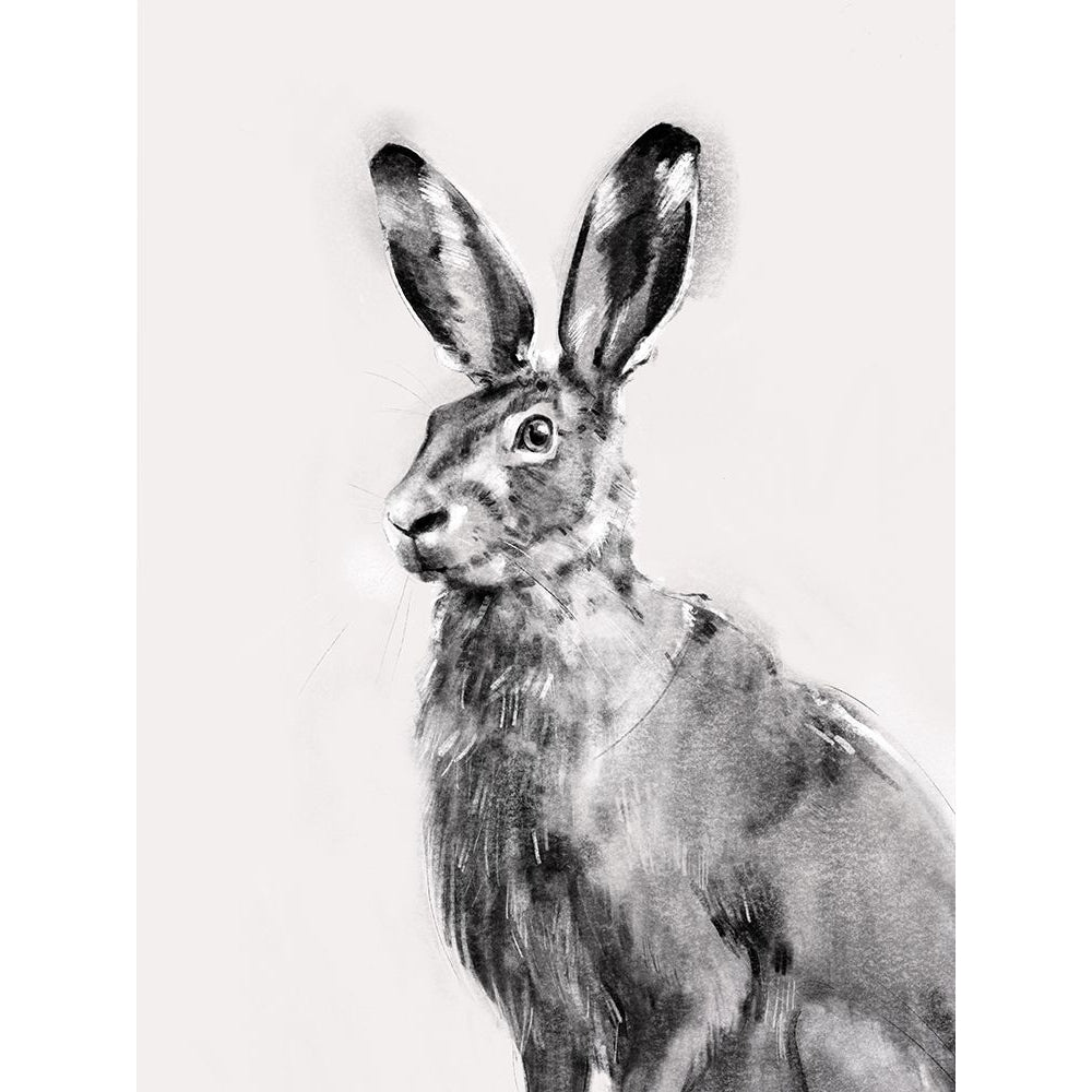 Wild Hare I Poster Print - Emma Caroline-VARPDX167909Z Image 1