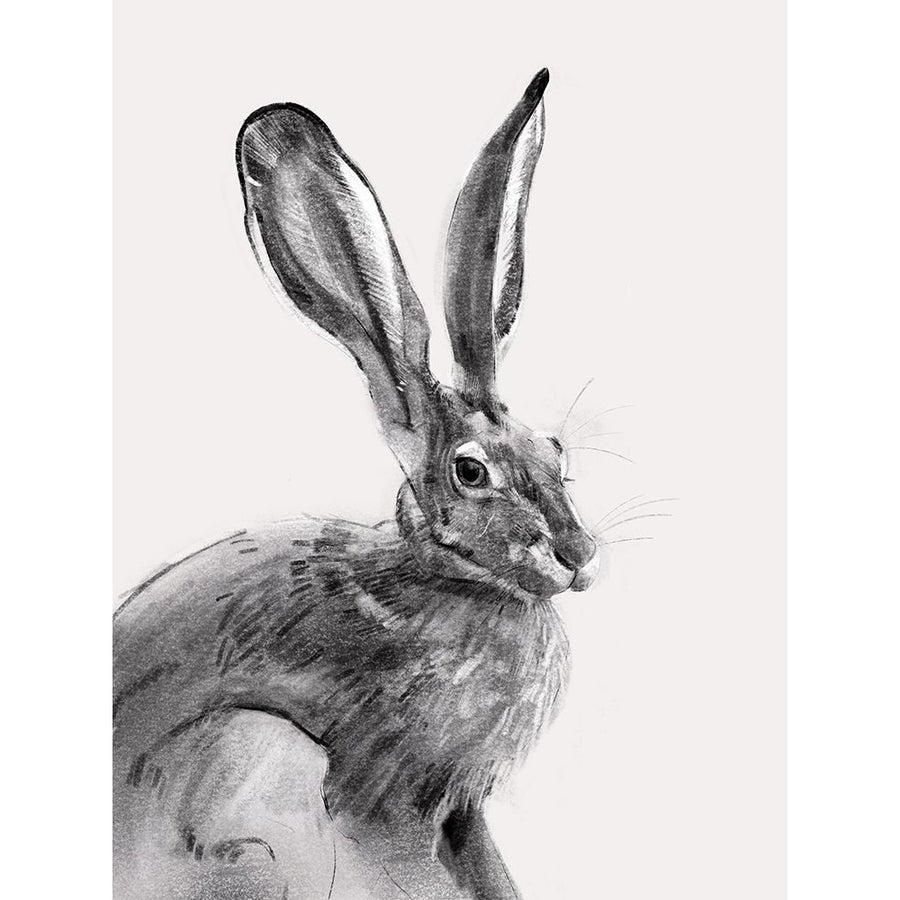 Wild Hare II Poster Print - Emma Caroline-VARPDX167910Z Image 1