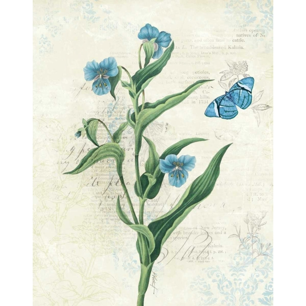 Booked Blue I Poster Print by Katie Pertiet-VARPDX16818 Image 1