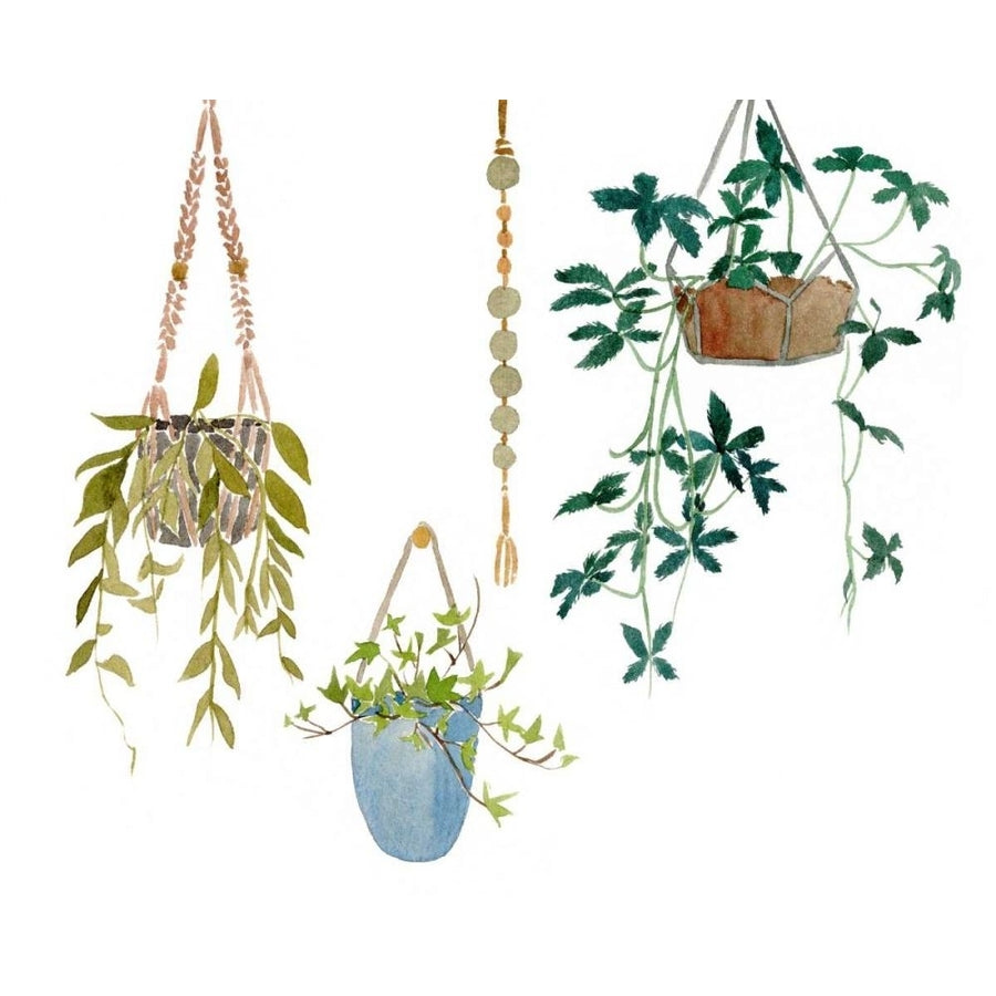 Hanging Greens I Poster Print - Melissa Wang-VARPDX168218Z Image 1