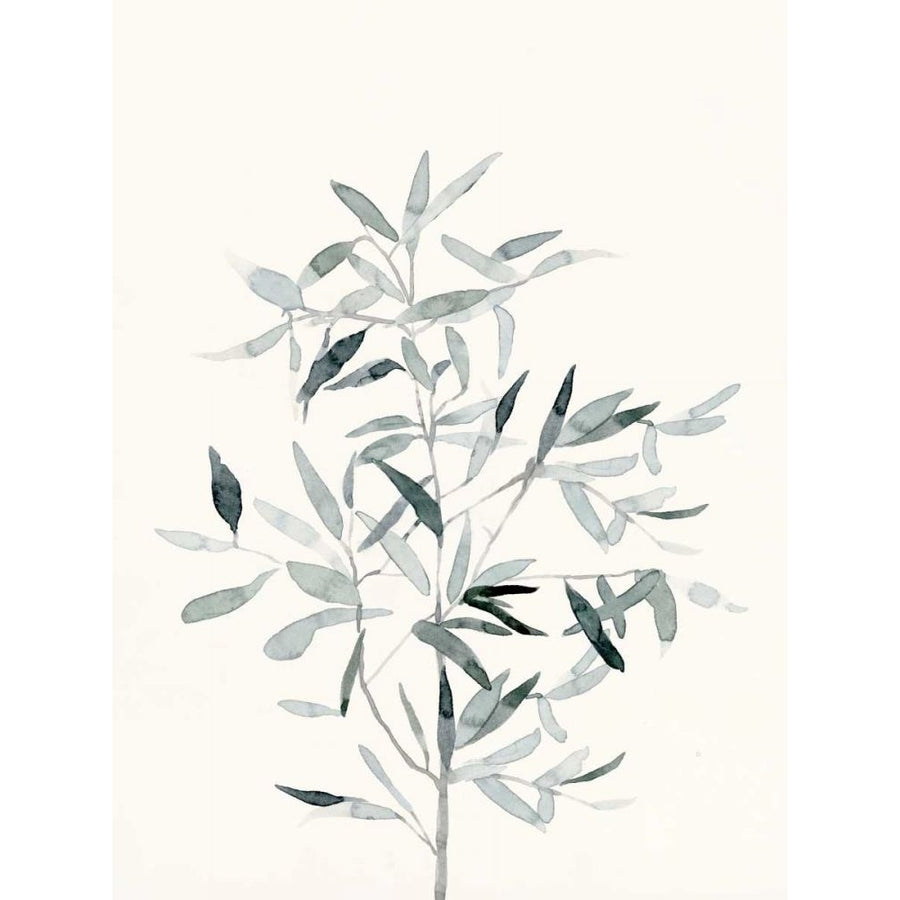 Delicate Sage Botanical VI Poster Print - Emma Caroline-VARPDX168268Z Image 1