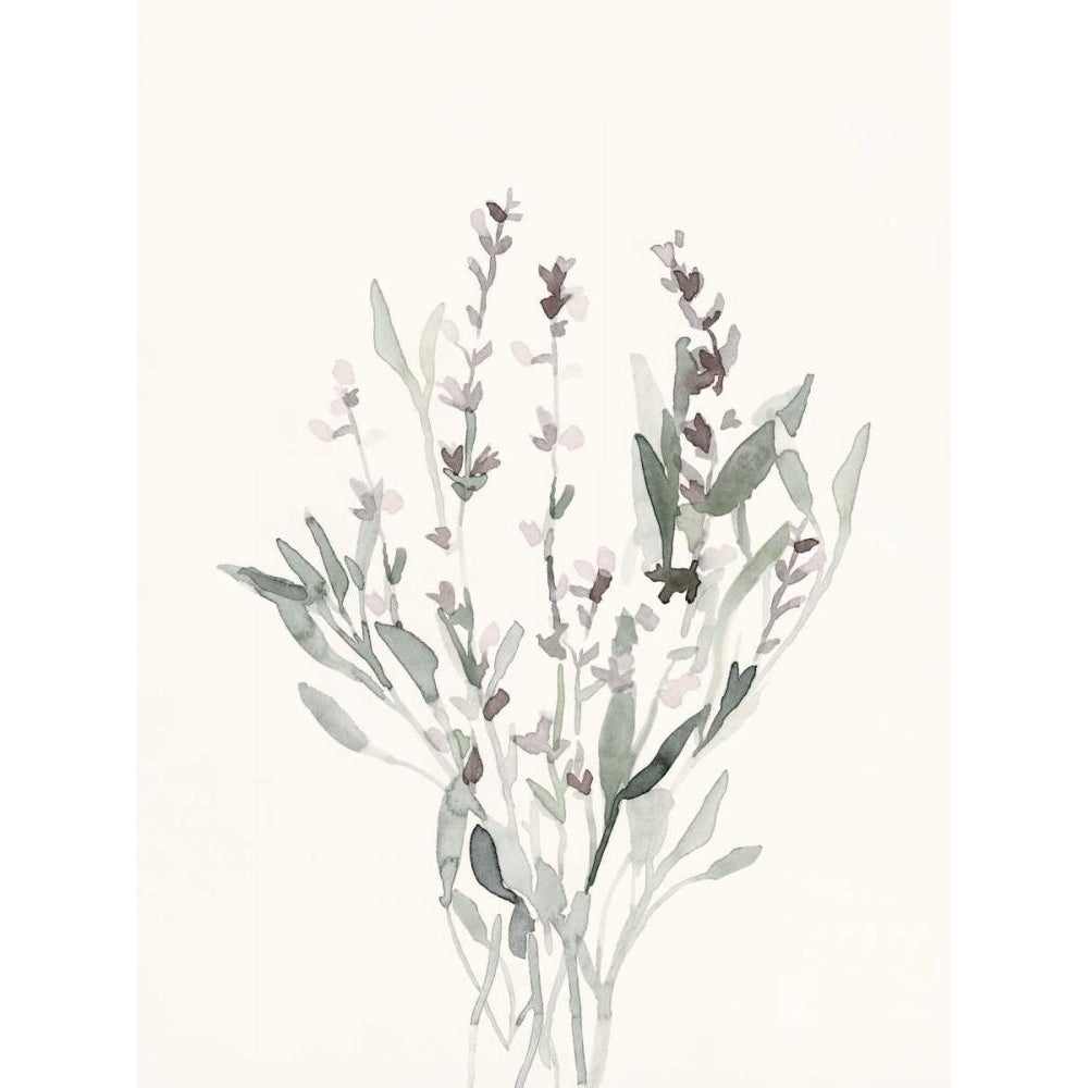 Delicate Sage Botanical V Poster Print - Emma Caroline-VARPDX168267Z Image 1