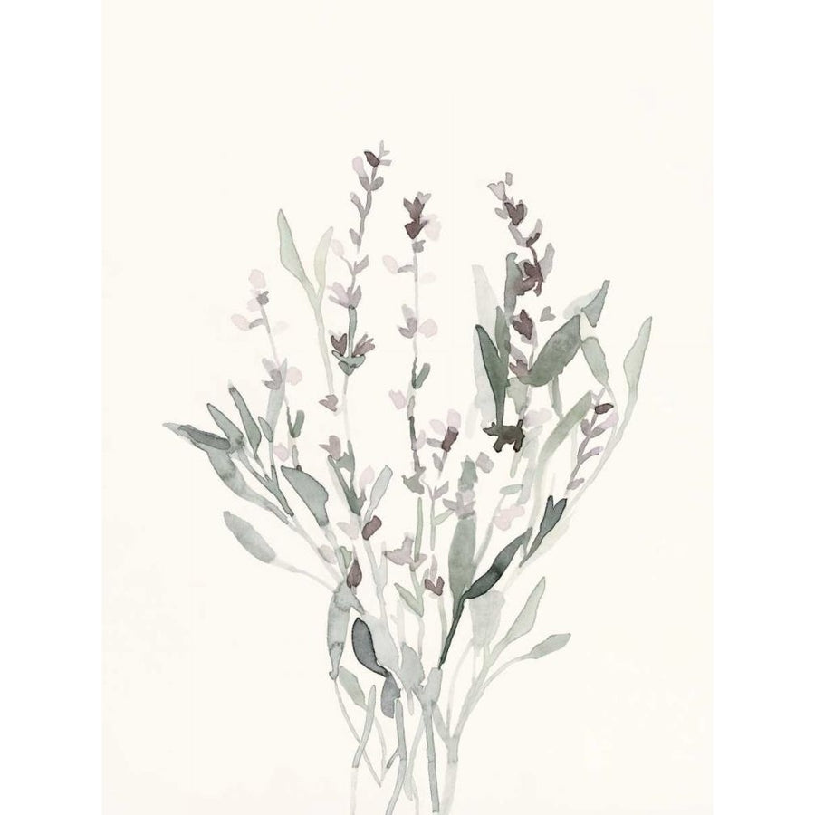 Delicate Sage Botanical V Poster Print - Emma Caroline-VARPDX168267Z Image 1