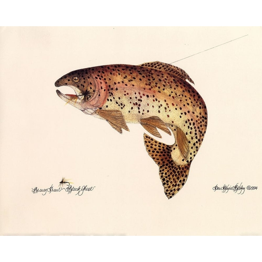 Brown Trout by Unknown-VARPDX16832 Image 1