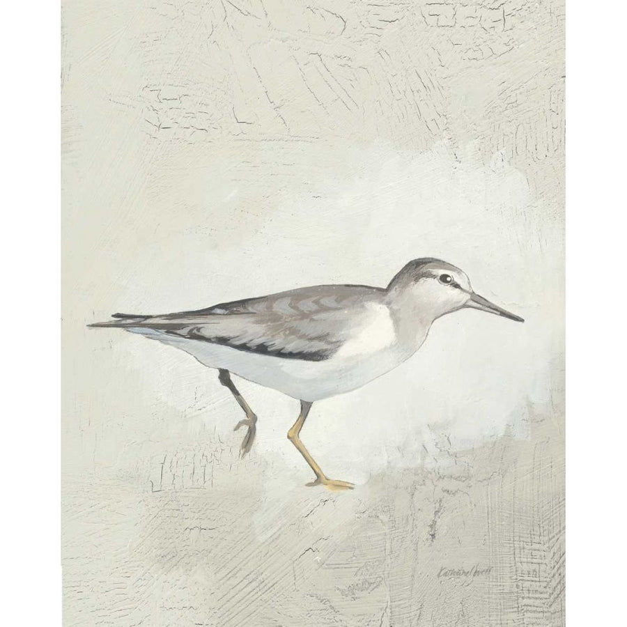 Sea Birds III by Kathrine Lovell-VARPDX16849 Image 1