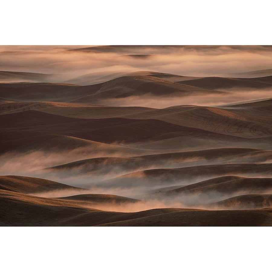 Early Spring Morning At Palouse Poster Print - Lydia Jacobs-VARPDX1687459 Image 1