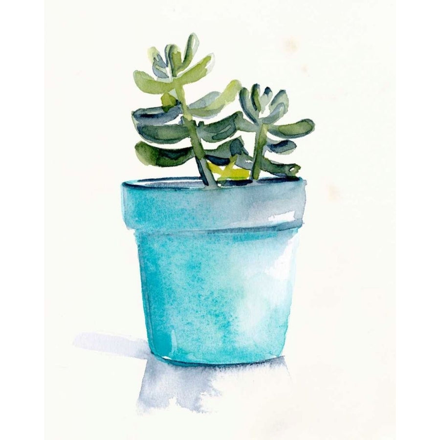 Potted Succulent II Poster Print - Jennifer Paxton Parker-VARPDX168971Z Image 1