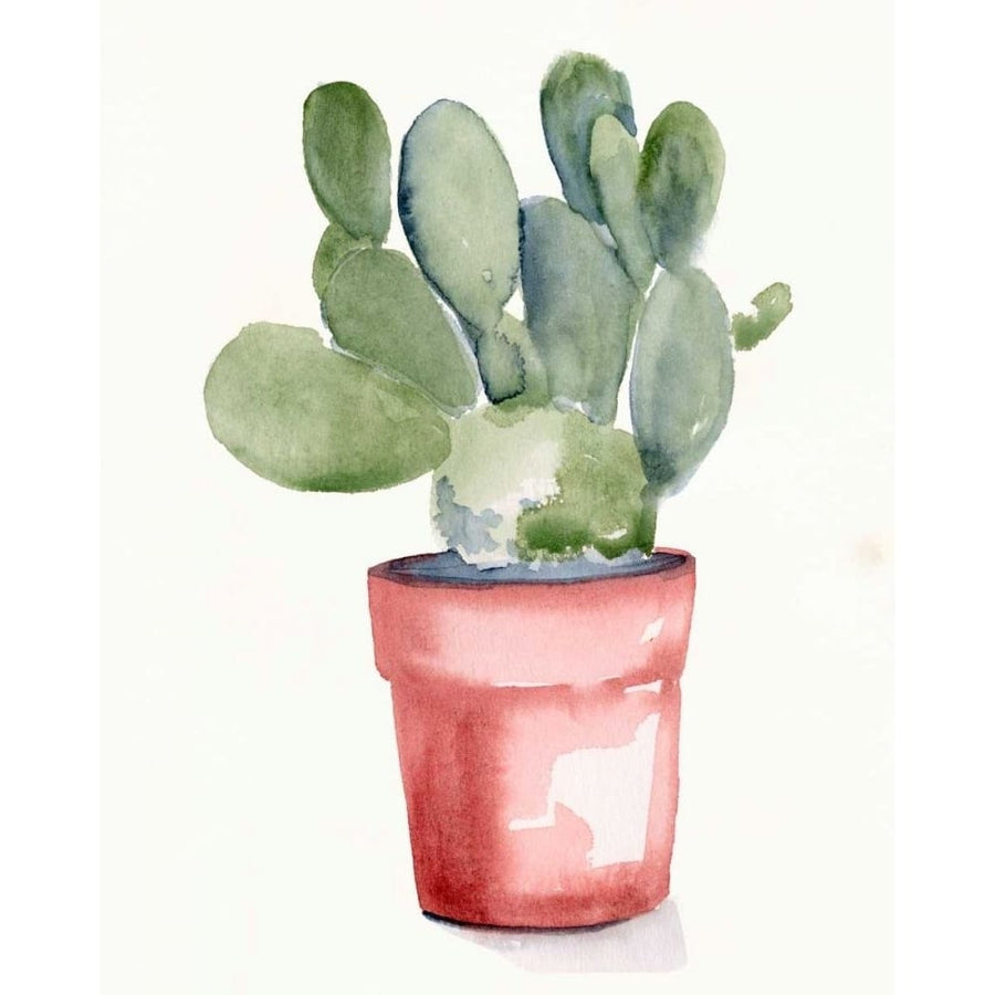 Potted Succulent I Poster Print - Jennifer Paxton Parker-VARPDX168970Z Image 1