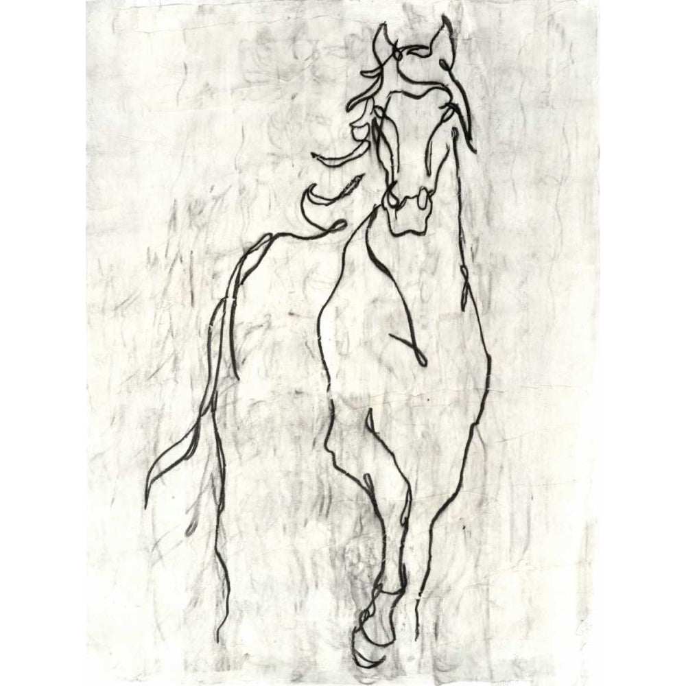 Embellished Horse Contour Poster Print - Ethan Harper-VARPDX169109ZE Image 1