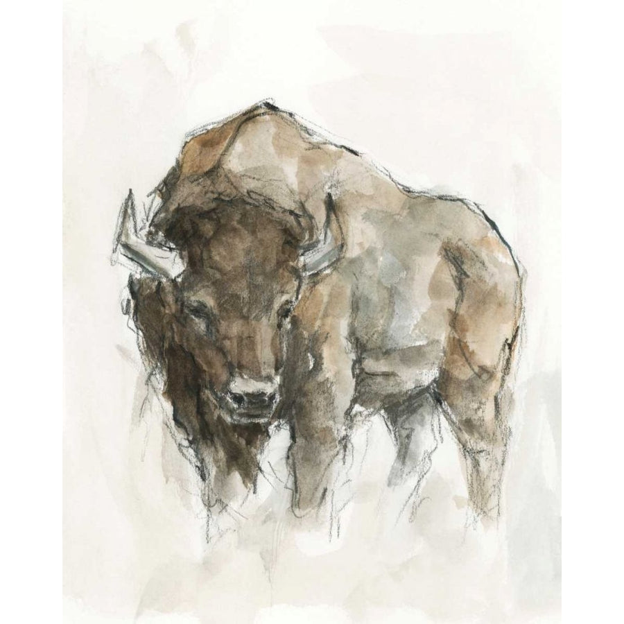 American Buffalo II Poster Print - Ethan Harper-VARPDX169271Z Image 1