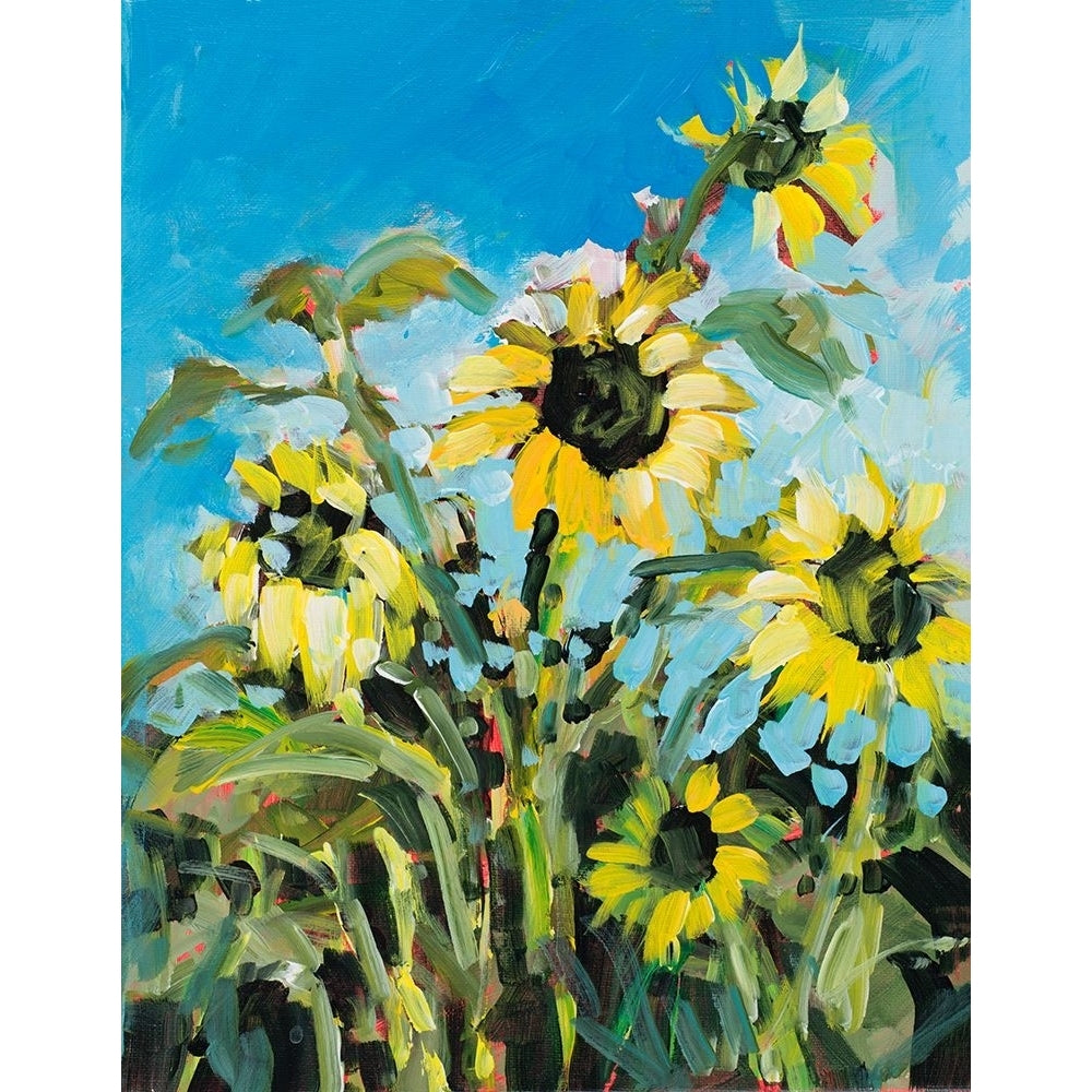 Sunflowers Poster Print - Jane Slivka-VARPDX16944 Image 1