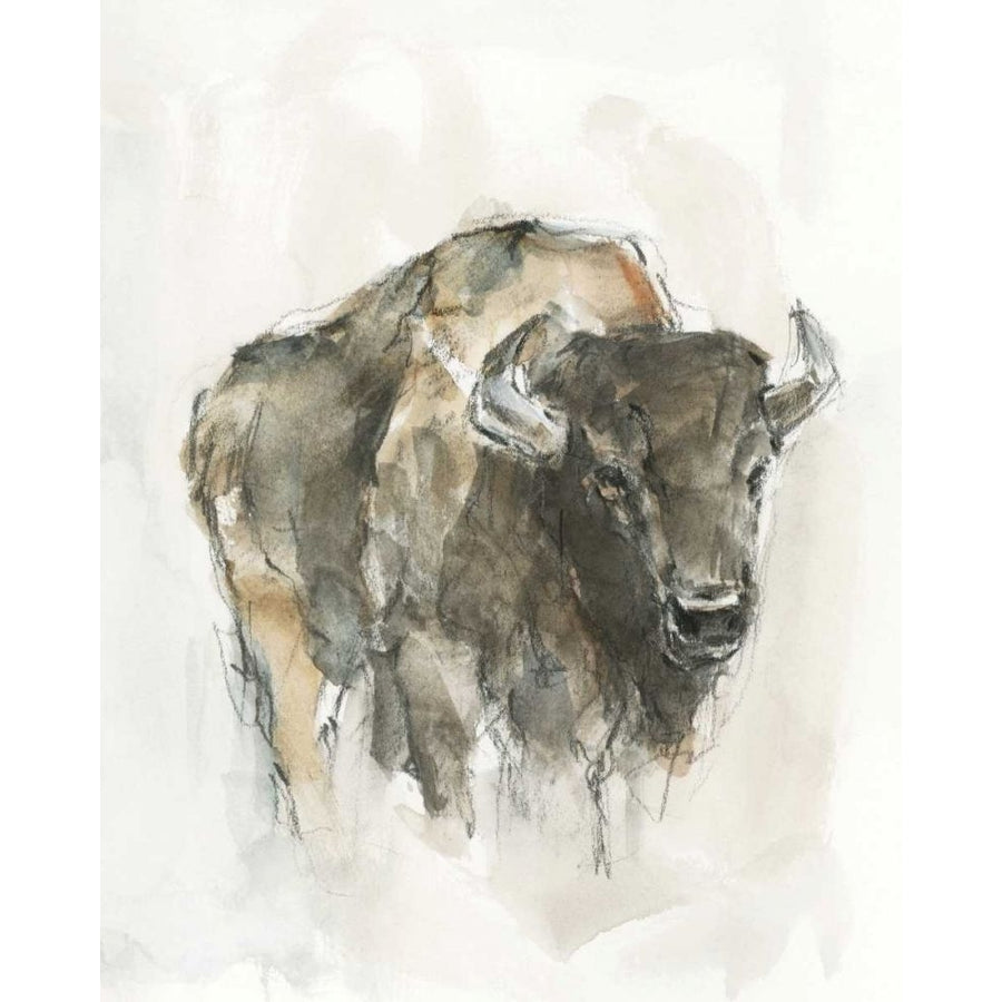 American Buffalo I Poster Print - Ethan Harper-VARPDX169270Z Image 1