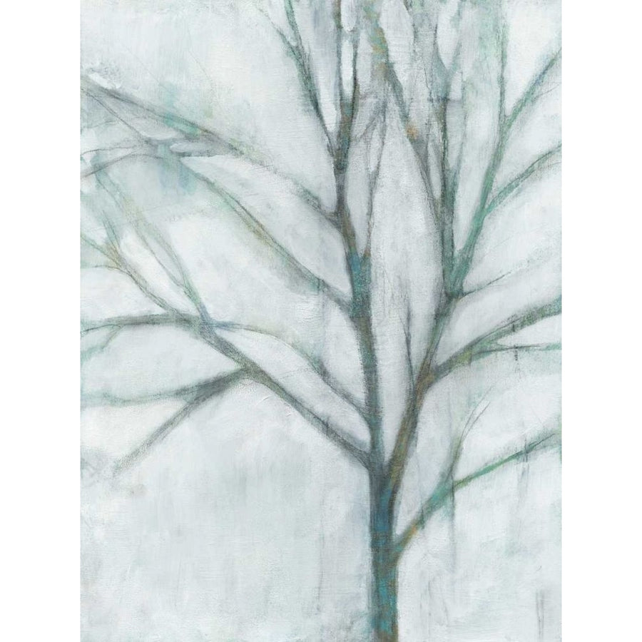 Tree with White Sky I Poster Print - Jennifer Goldberger-VARPDX169817FN Image 1