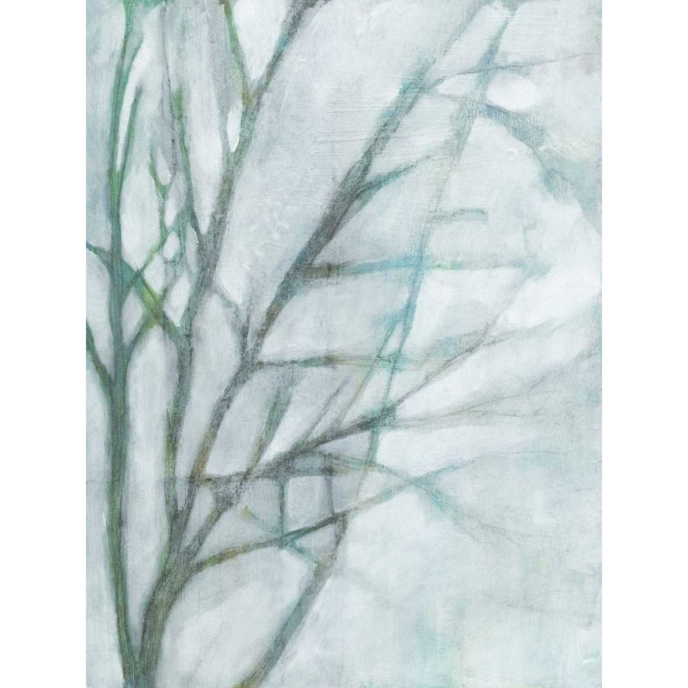 Tree with White Sky II Poster Print - Jennifer Goldberger-VARPDX169818FN Image 1