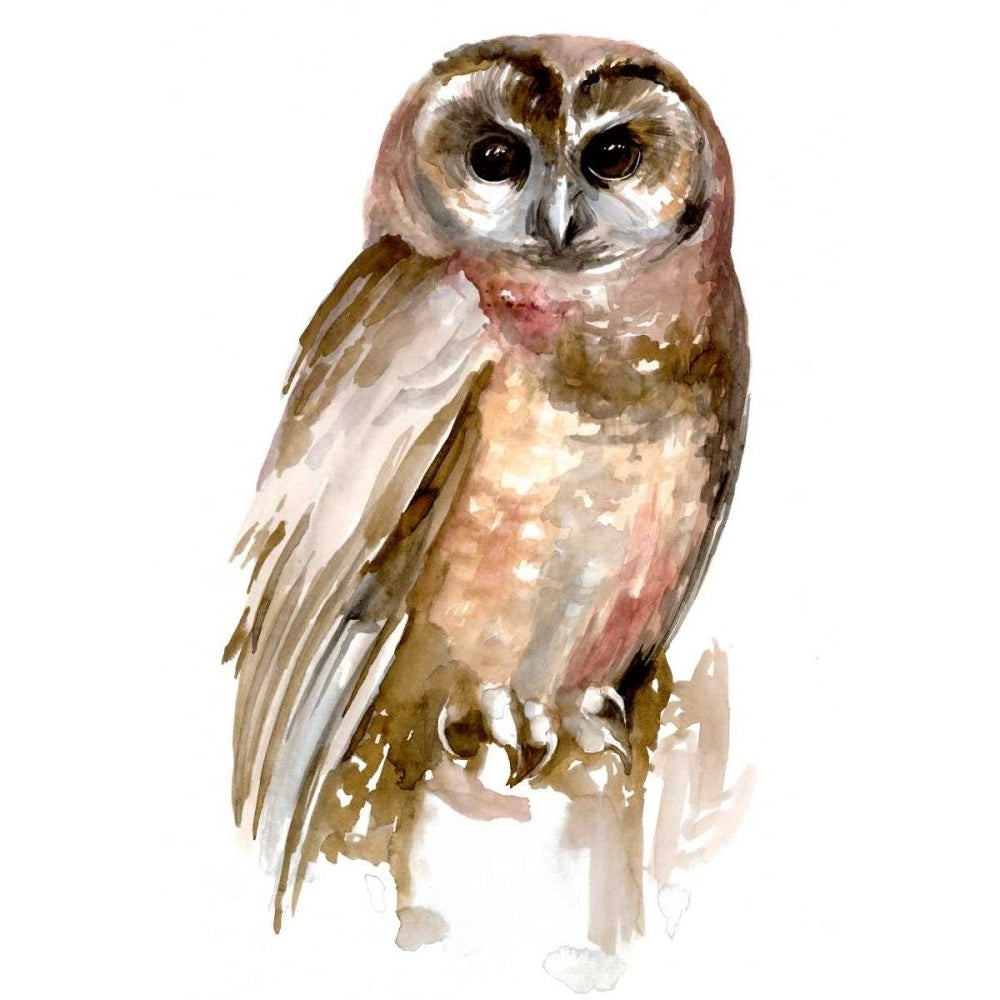 Watercolor Owl II Poster Print - Jennifer Paxton Parker-VARPDX169830FN Image 1