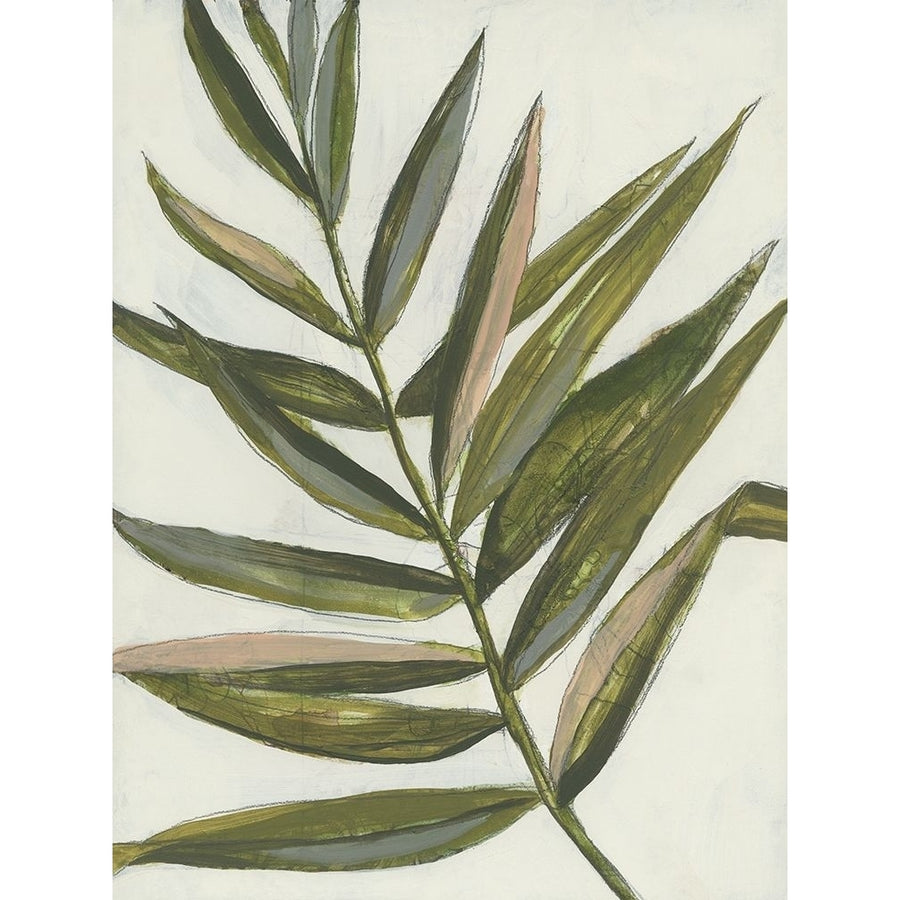 Pastel Frond II Poster Print - Jennifer Goldberger-VARPDX170013Z Image 1