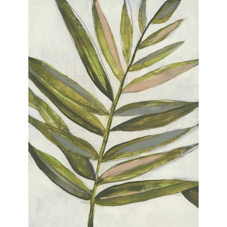 Pastel Frond I Poster Print - Jennifer Goldberger-VARPDX170012FN Image 1