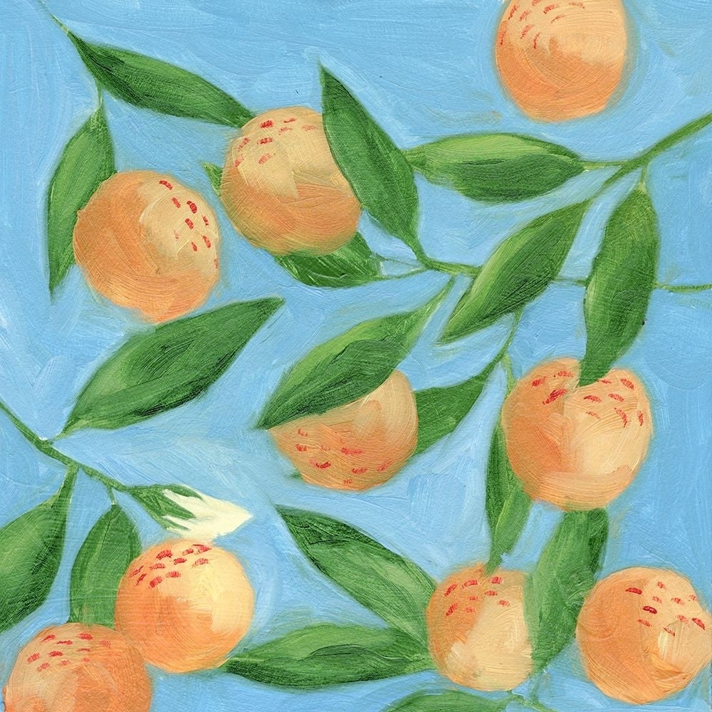 Sweet Tangerine II Poster Print - Melissa Wang-VARPDX170319D Image 1