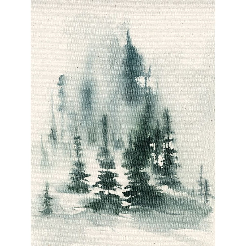 Misty Winter I Poster Print - Jennifer Goldberger-VARPDX170546Z Image 1