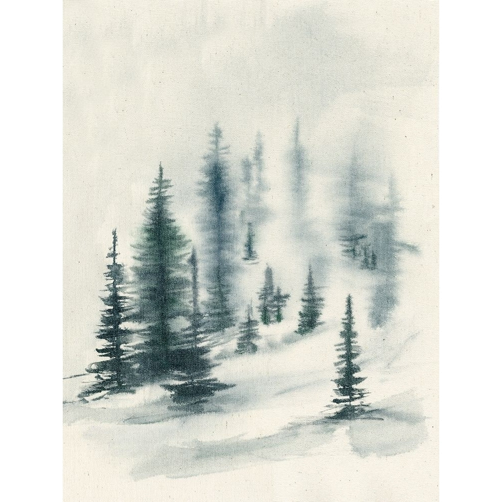 Misty Winter II Poster Print - Jennifer Goldberger-VARPDX170547Z Image 1