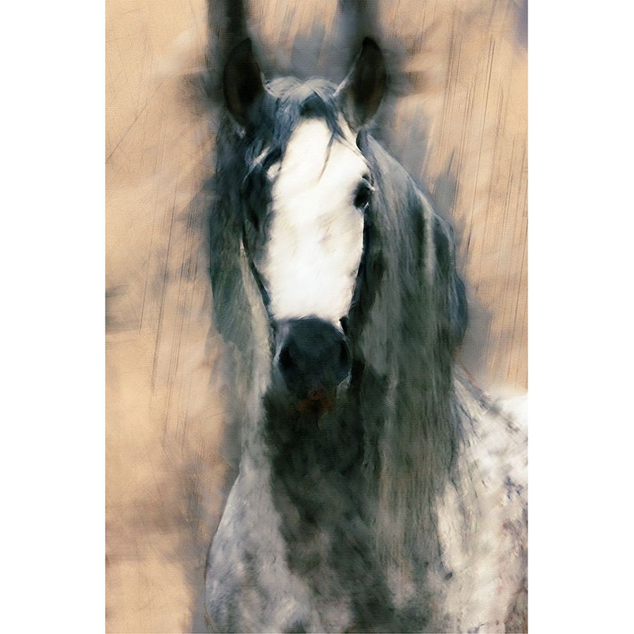 Blended Horse II Poster Print - Kim Curinga-VARPDX170803Z Image 1