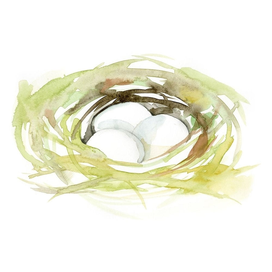 Watercolor Nest II Poster Print - Jennifer Goldberger-VARPDX170800D Image 1