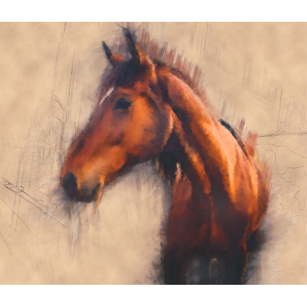 Blended Horse III Poster Print - Kim Curinga-VARPDX170804Z Image 1