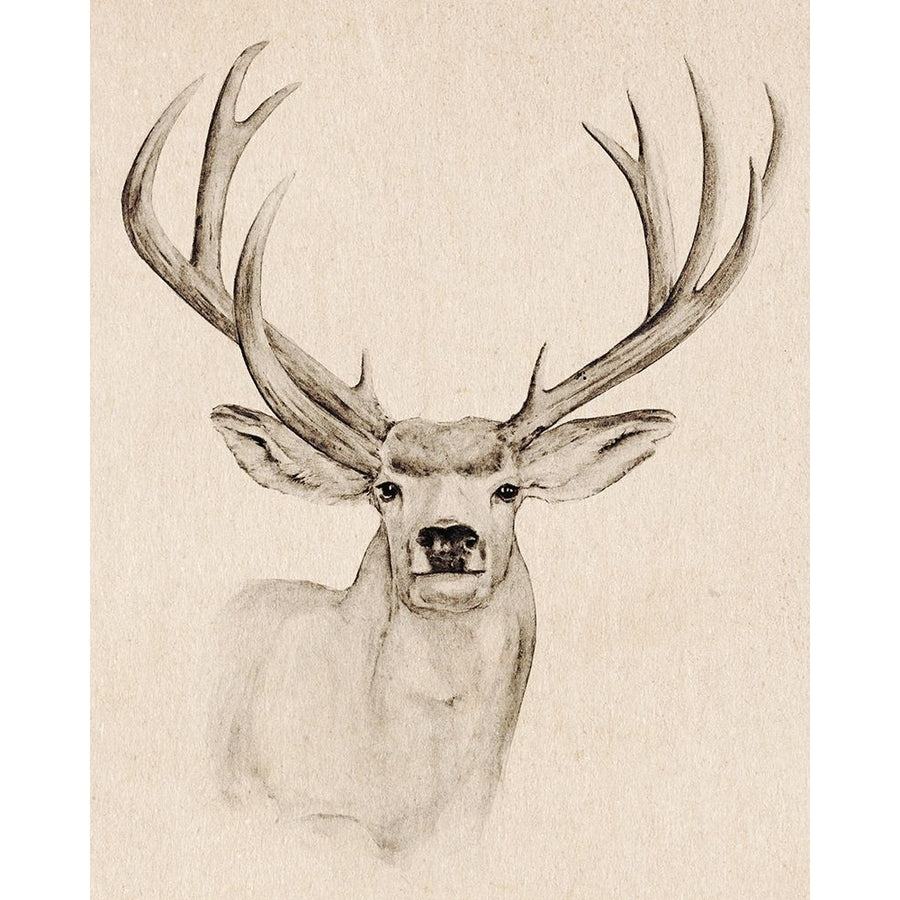 Natural Buck I Poster Print - Annie Warren-VARPDX170887Z Image 1