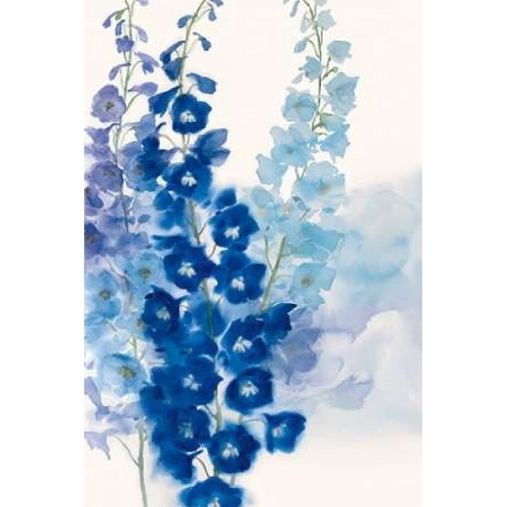 Delphinium I Poster Print by Rogier Daniels-VARPDX17094 Image 1