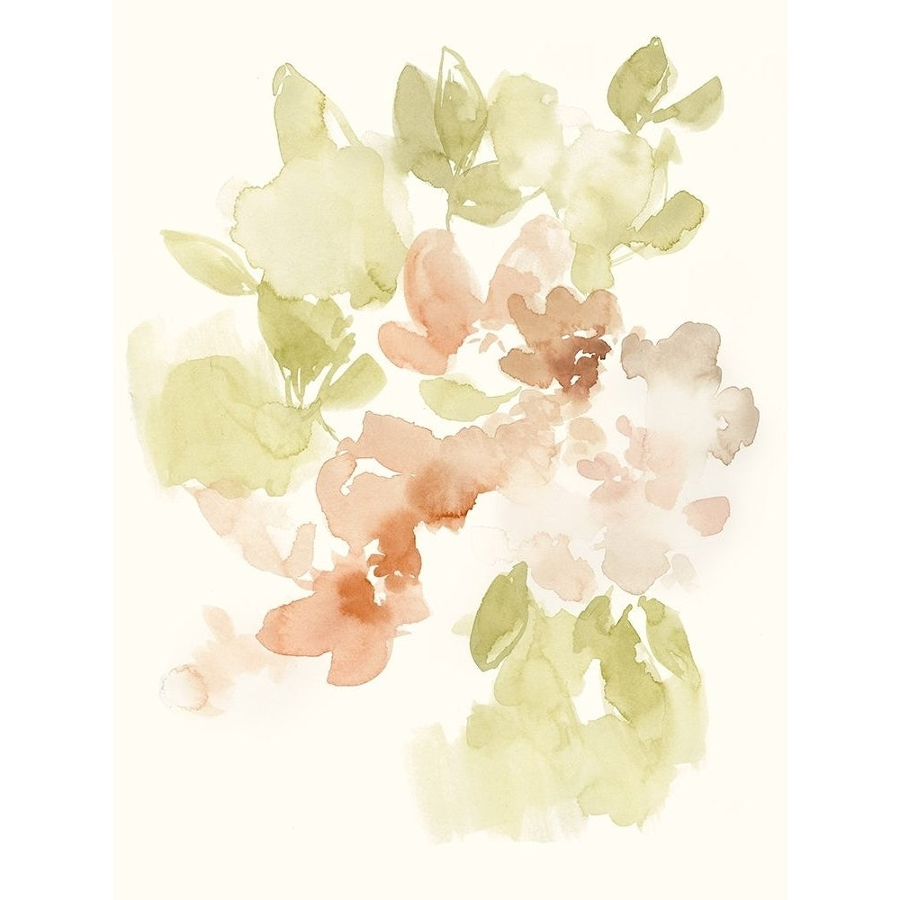 The Softest Petals I Poster Print - Jennifer Goldberger-VARPDX170973FN Image 1