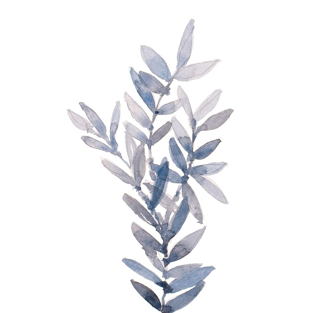 Indigo Seagrass I Poster Print - Lanie Loreth-VARPDX17102A Image 1