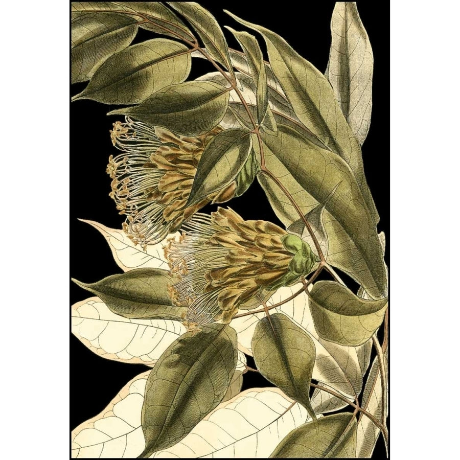 Tranquil Tropical Leaves VI Poster Print - Studio Vision-VARPDX17103Z Image 1