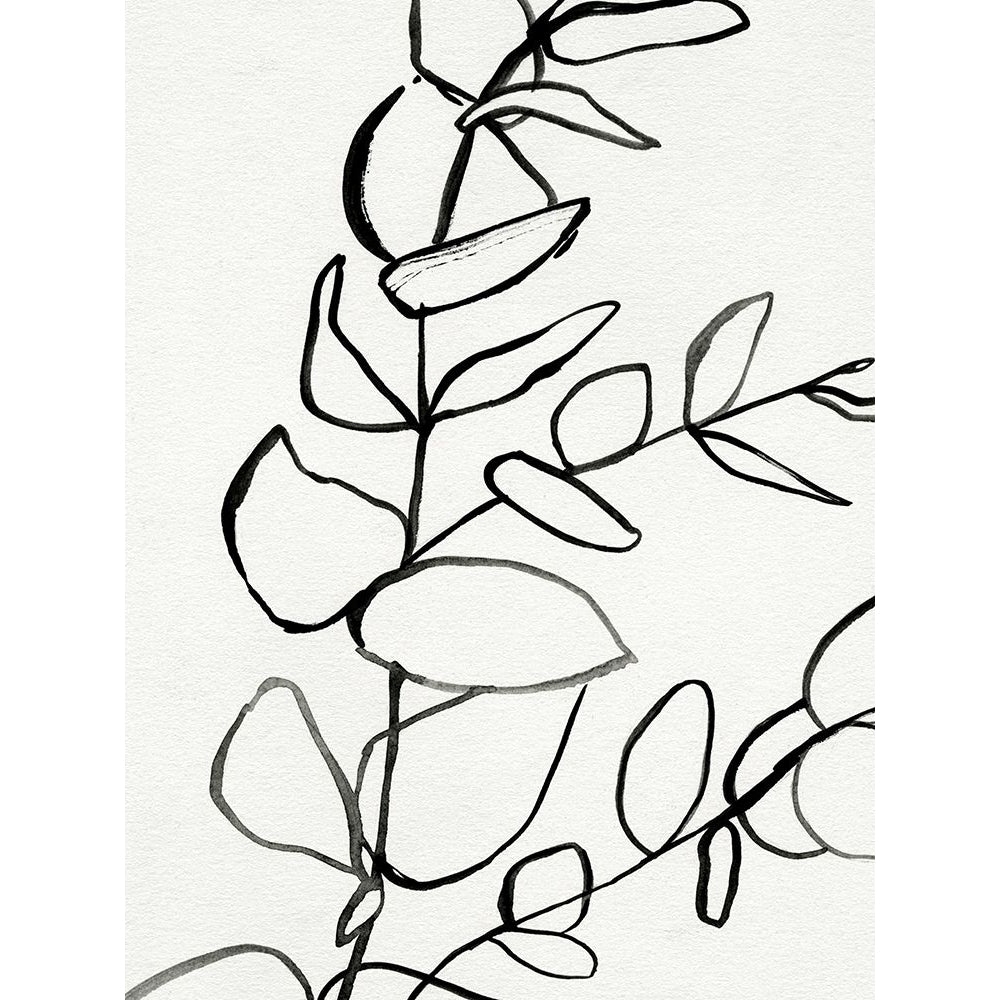 Sprig Contour II Poster Print - Victoria Barnes-VARPDX171099D Image 1