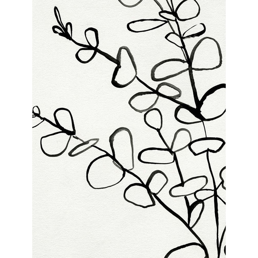 Sprig Contour I Poster Print - Victoria Barnes-VARPDX171098D Image 1