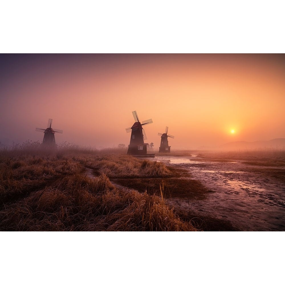 Foggy Morning Poster Print - Tiger Seo-VARPDX1711231 Image 1