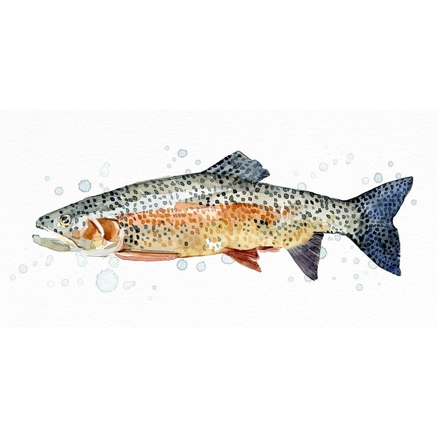 Watercolor Rainbow Trout II Poster Print - Emma Caroline-VARPDX171273Z Image 1