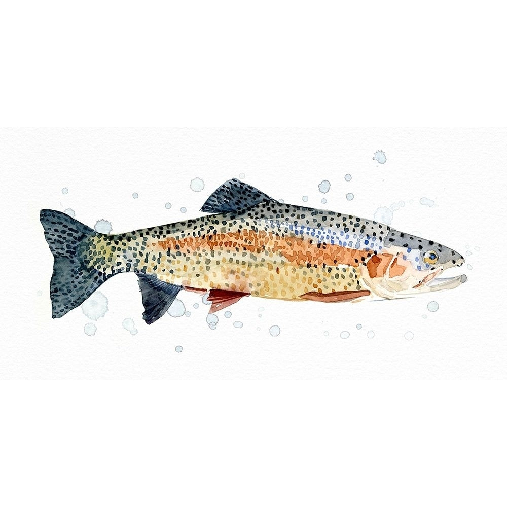 Watercolor Rainbow Trout I Poster Print - Emma Caroline-VARPDX171272Z Image 1