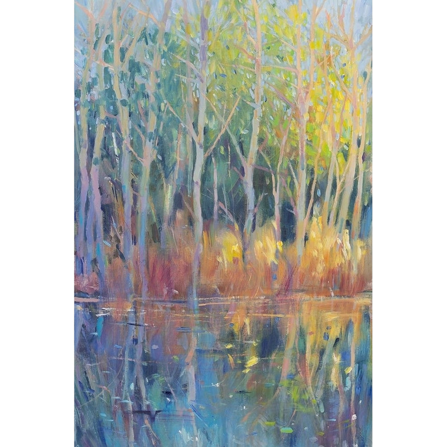 Reflected Trees II Poster Print - Tim OToole-VARPDX171355FN Image 1