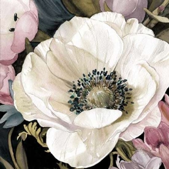 Anemone Study II Poster Print by Carol Robinson-VARPDX17145 Image 1