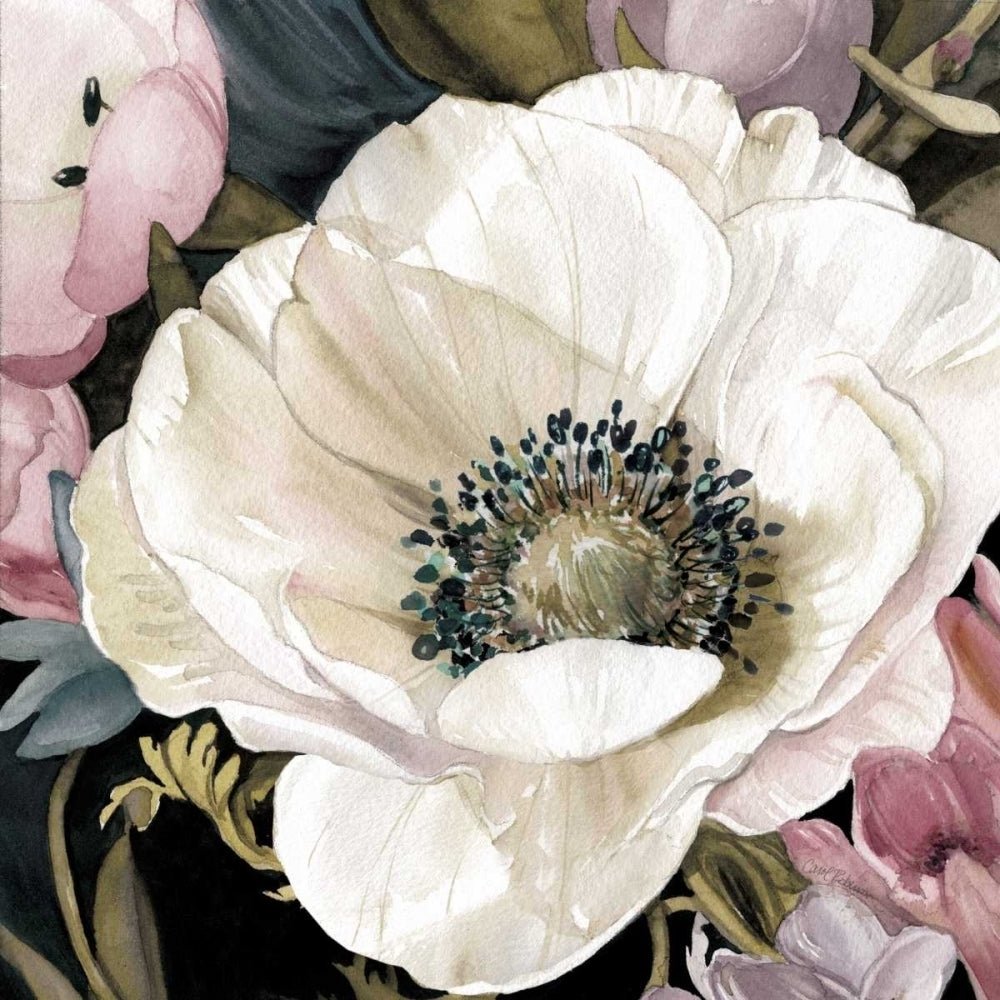 Anemone Study II Poster Print by Carol Robinson-VARPDX17145 Image 2