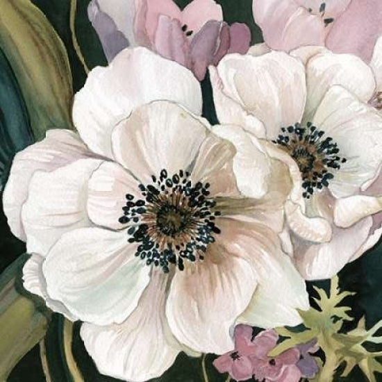 Anemone Study I Poster Print by Carol Robinson-VARPDX17144 Image 1