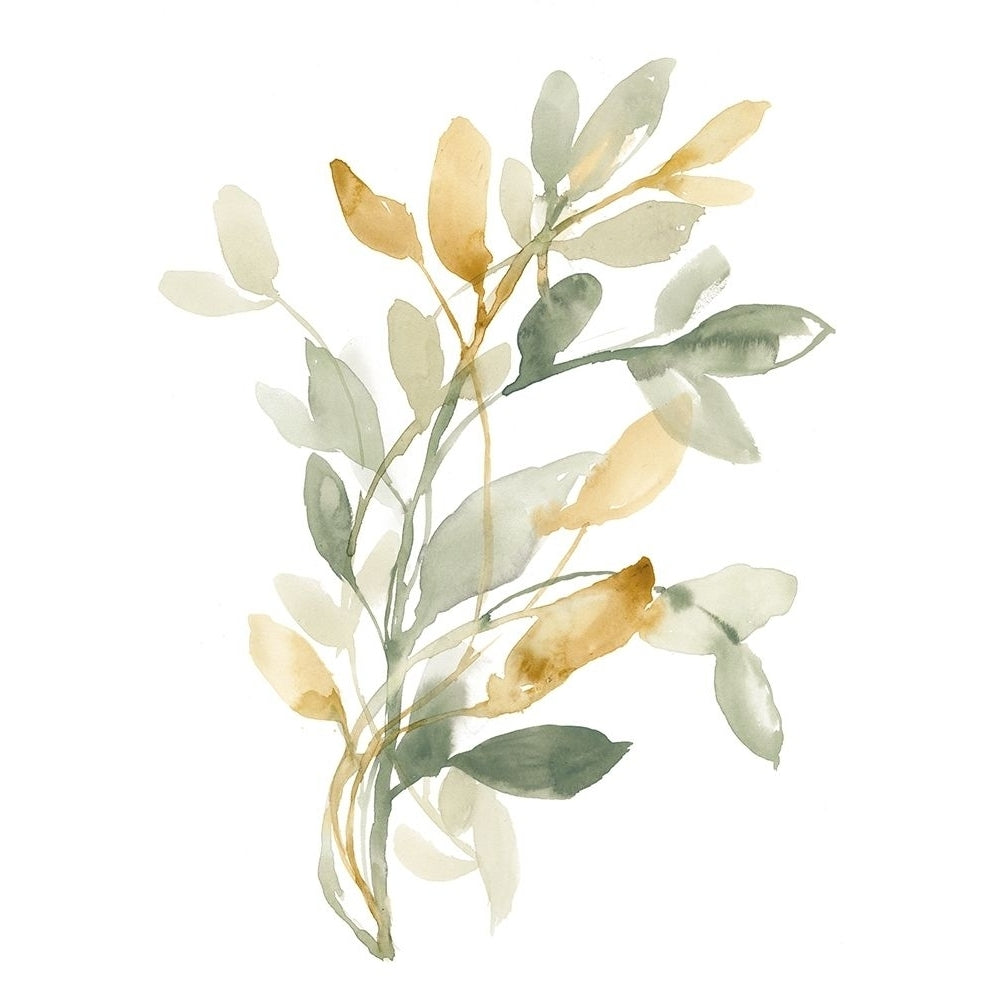 Sage and Sienna Leaves II Poster Print - Jennifer Goldberger-VARPDX171666FN Image 1