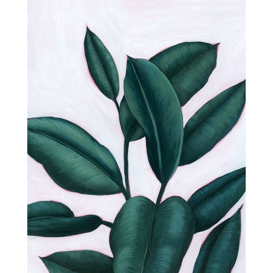 Verdant Ficus I Poster Print - Grace Popp-VARPDX171715Z Image 1