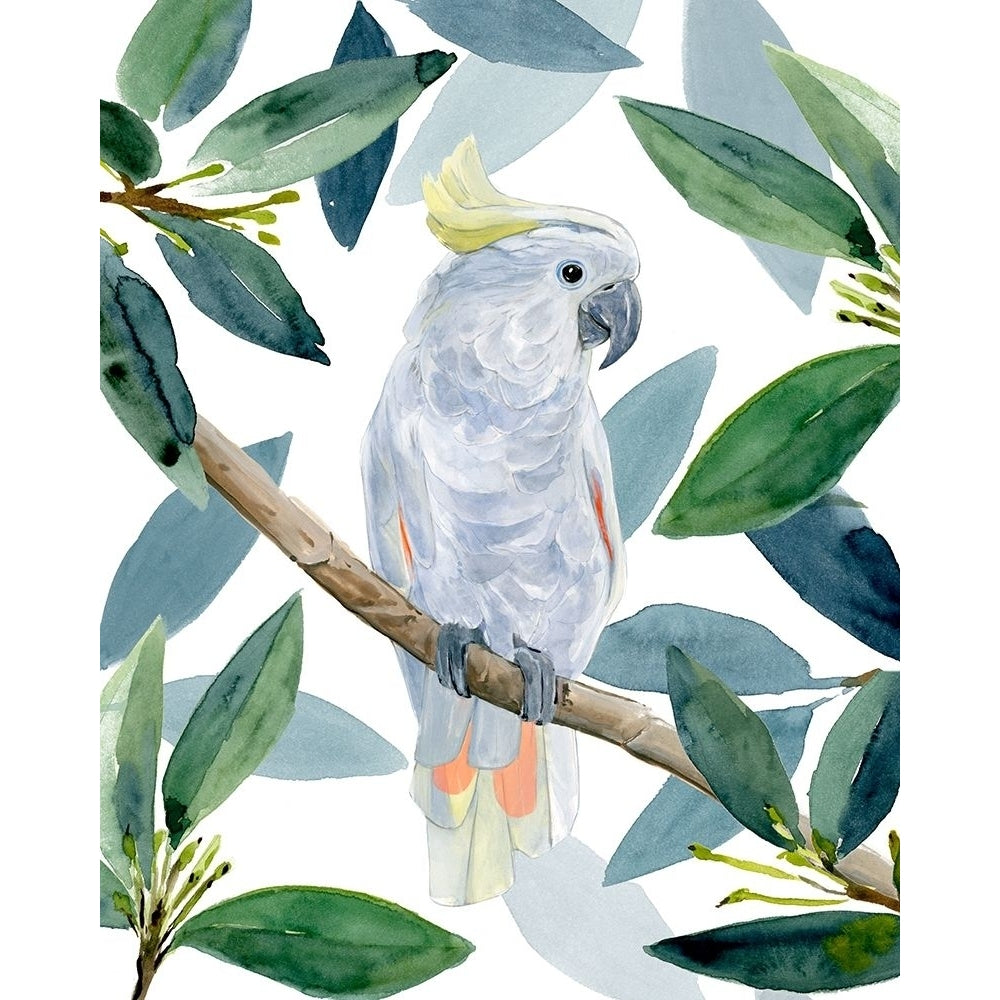 Cockatoo Perch I Poster Print - Annie Warren-VARPDX171717Z Image 1