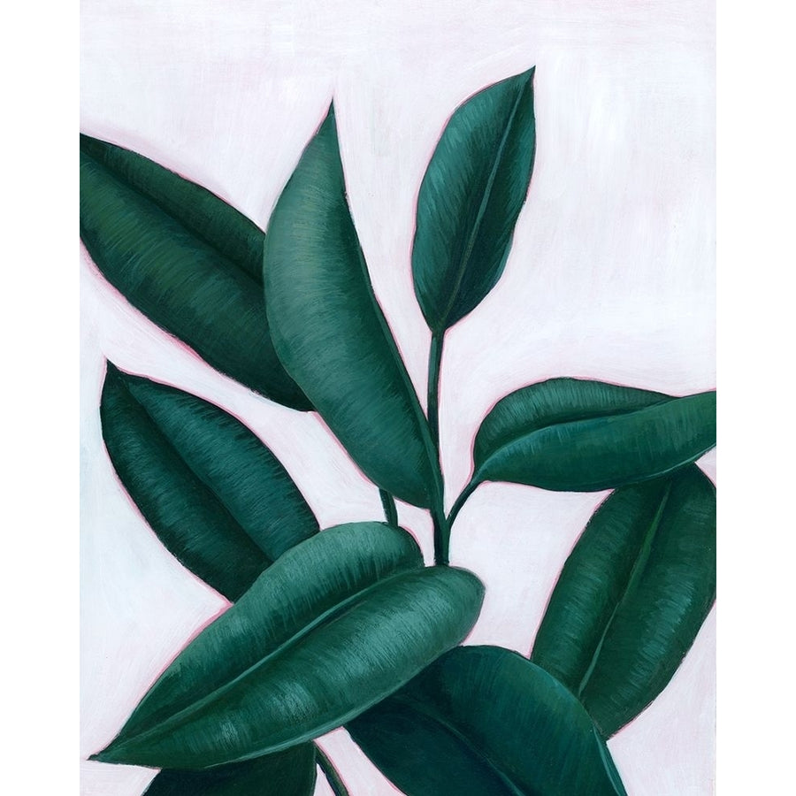 Verdant Ficus II Poster Print - Grace Popp-VARPDX171716Z Image 1